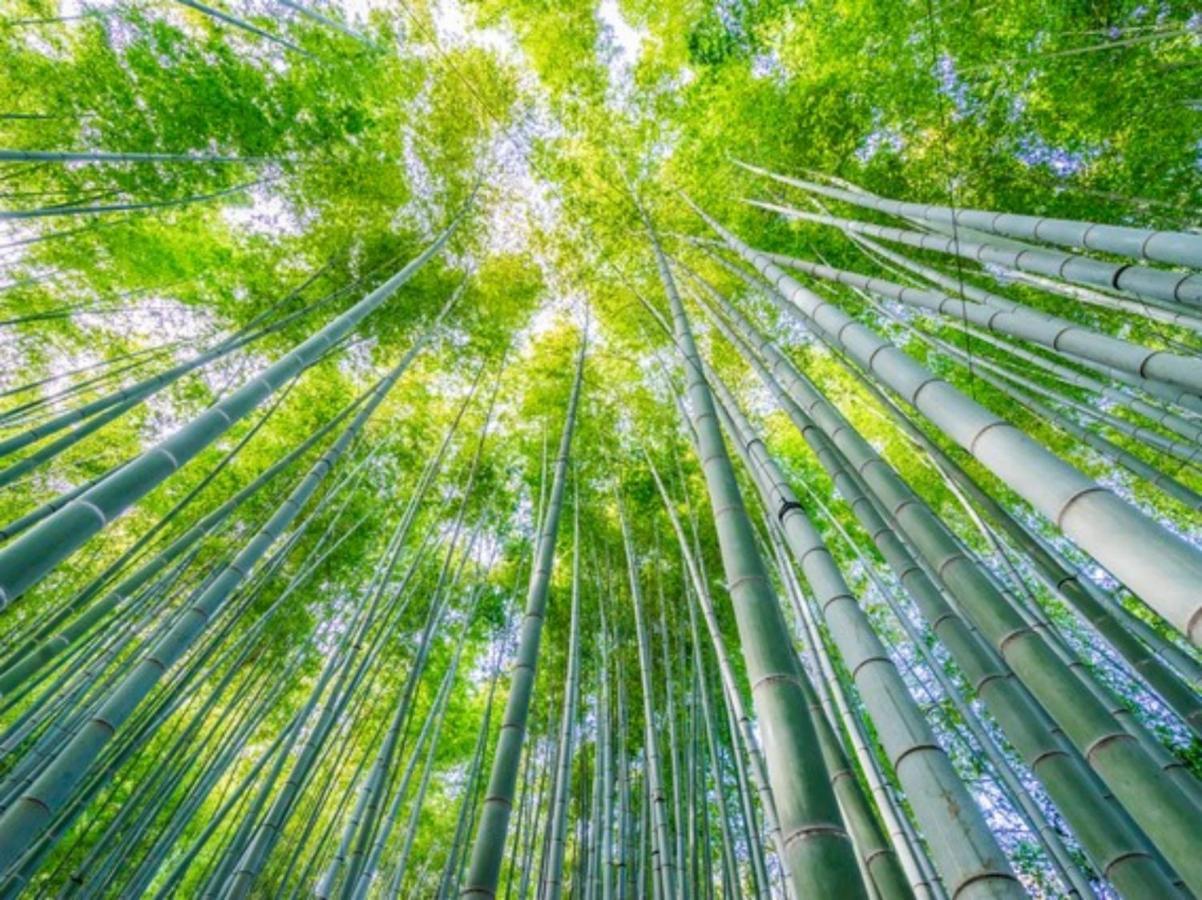 Kamakura Cocon Hotel Kültér fotó